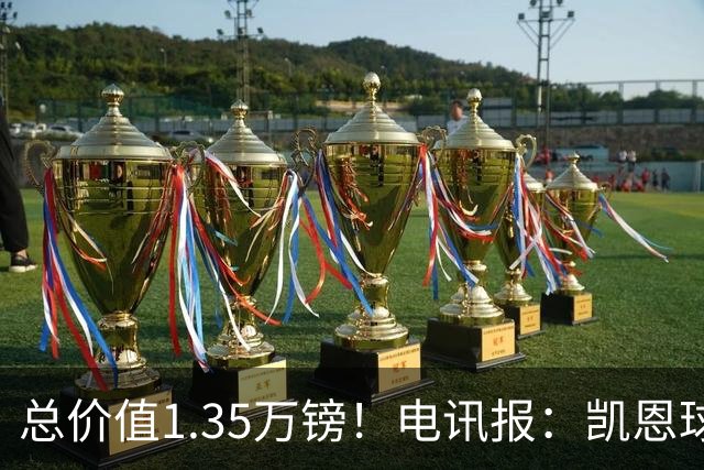 总价值1.35万镑！电讯报：凯恩球鞋被盗，还包括吉祥物和乐高积木