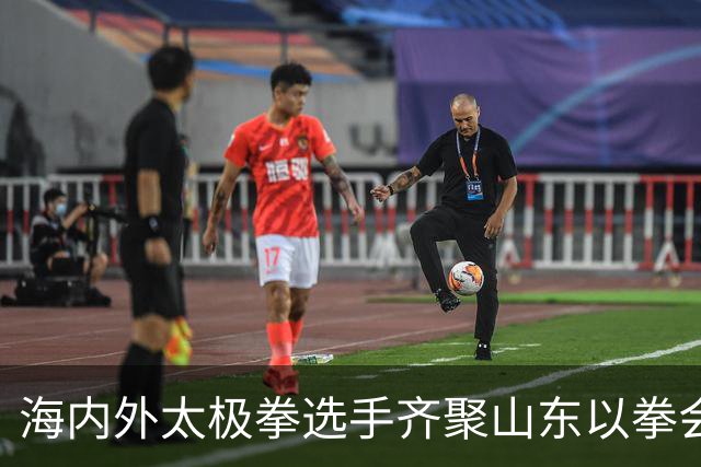 海内外太极拳选手齐聚山东以拳会友